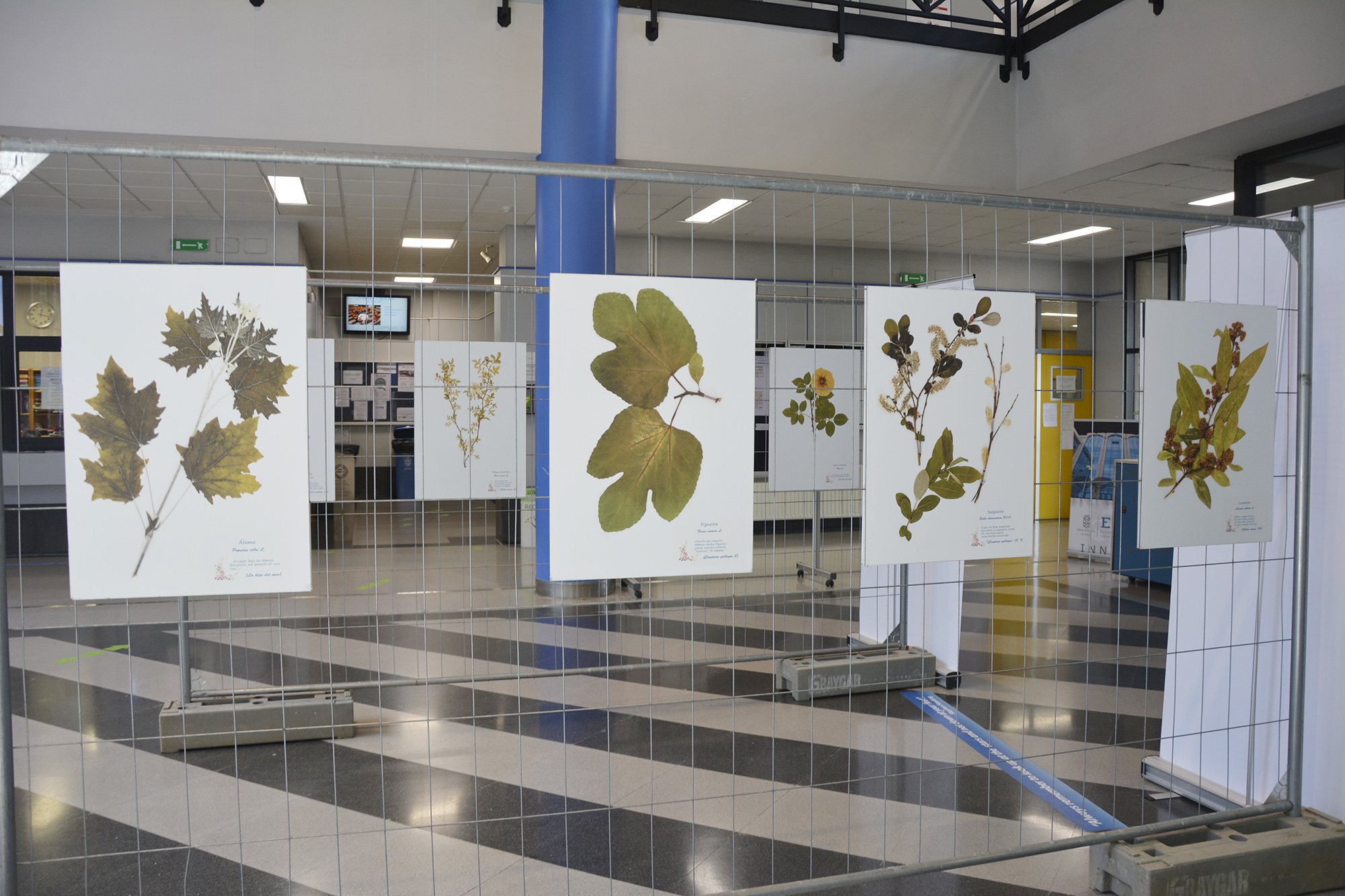 Unha Exposici n Amosa No Campus O herbario Que Aflora Na Obra De unha-exposici-n-amosa-no-campus-o-herbario-que-aflora-na-obra-de