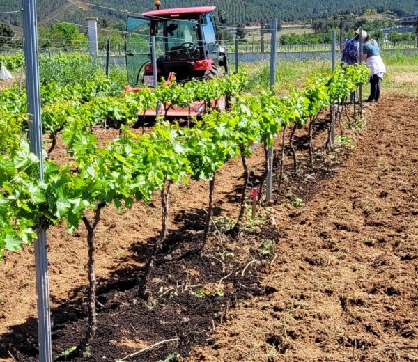 Un grupo operativo avanza no aproveitamento de residuos porcinos e forestais para mellorar a calidade dos solos