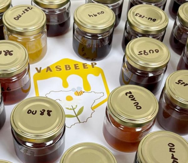 O proxecto estatal Vasbeep busca establecer parámetros bioxeográficos que permitan autentificar o mel e pole producidos en España