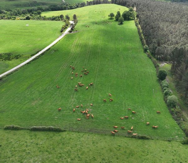 A UVigo lidera un proxecto europeo que destinará case 4,9 millóns de euros á innovación en comunidades rurais