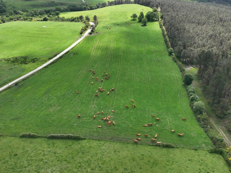 A UVigo lidera un proxecto europeo que destinará case 4,9 millóns de euros á innovación en comunidades rurais
